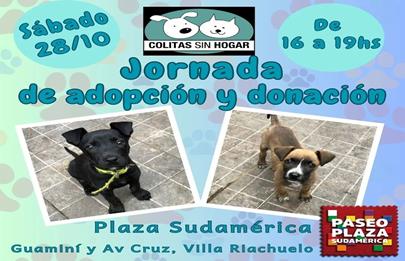 Jornada de adopción y donación de mascotas en la plaza Sudamérica