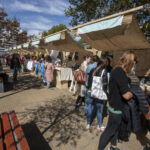 Llega una nueva edición de la Ecoferia Ofelia al barrio de Villa Devoto 