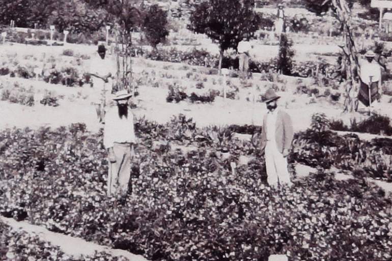 “Con las manos en la tierra” en el Museo Histórico Sarmiento
