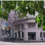 Celebran el Día de los Cafés con charlas y música en vivo