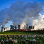 Hoy se conmemora el Día Internacional contra el Cambio Climático