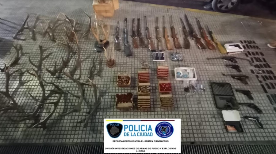 Palermo: incautaron 800 municiones y animales disecados en un polirubro de avenida Santa Fe