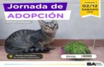 Jornada de adopción de mascotas en Parque Chacabuco