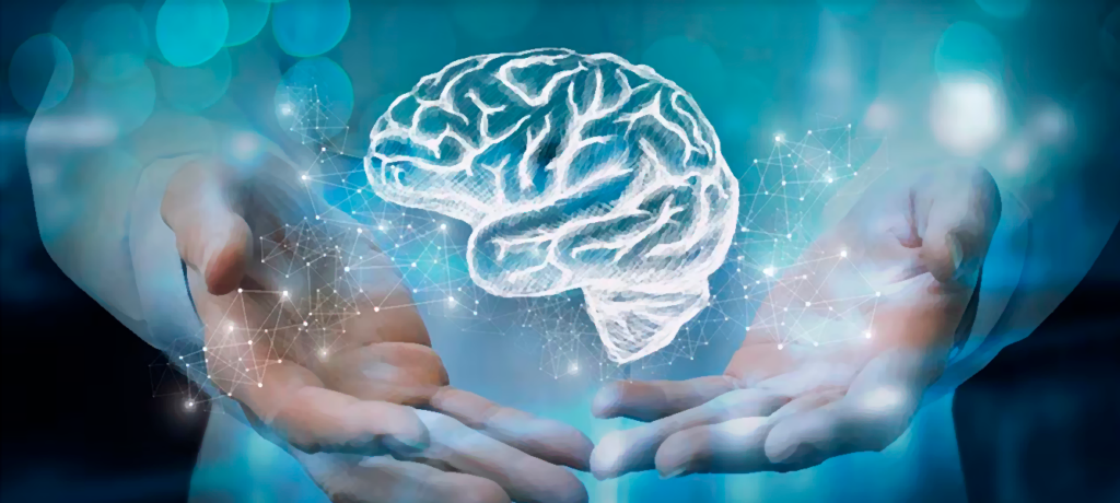 El lenguaje que tiene el cerebro de comunicarse