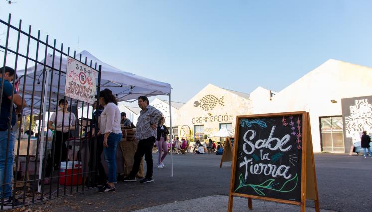 Colegiales: vuelve el Festival Vegano al Mercado de Pulgas
