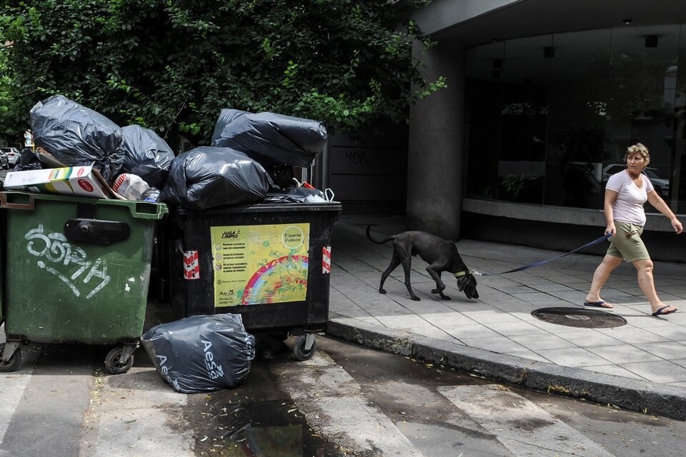 Legislatura porteña: bajaron el proyecto con penas a recicladores