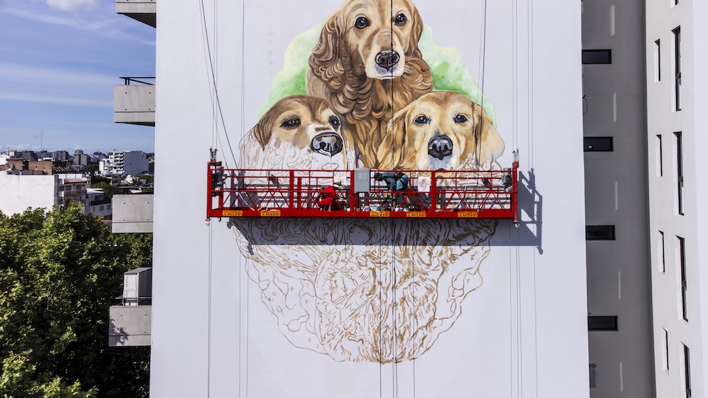 Villa Devoto: preparan un mural gigante en un edificio y planean inaugurarlo con los perros del barrio