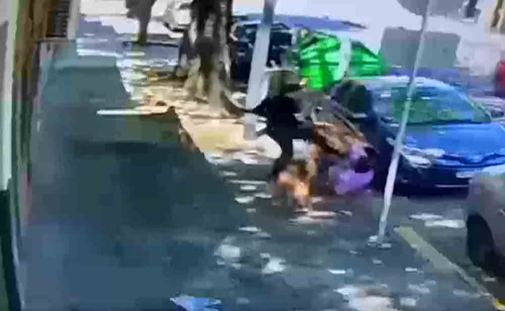 Un señor mayor reclamó por la caca de perro y la dueña del can lo atacó brutalmente