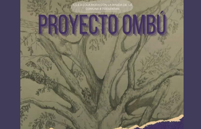 Replantación del histórico Ombú en la plaza de la Democracia