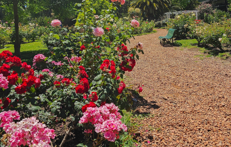Ampliación del Rosedal de Parque Chacabuco