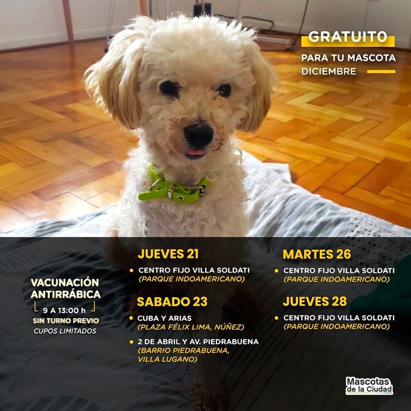 Vacunación antirrábica gratuita en el barrio Piedrabuena