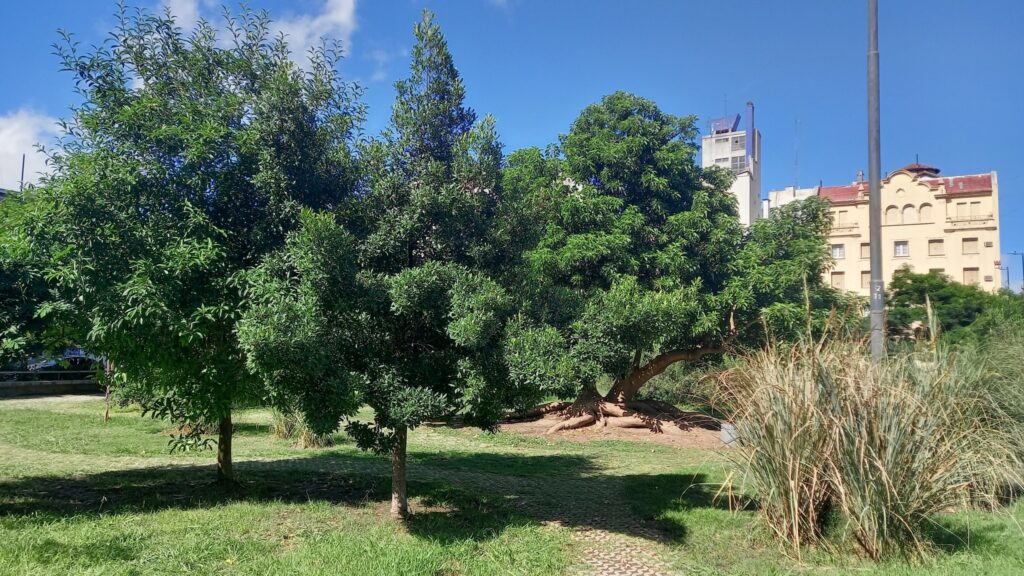 Balvanera: quinto aniversario de la plaza Manzana 66, lograda con lucha vecinal