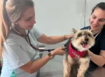 Calidez, excelente atención y amor por las mascotas