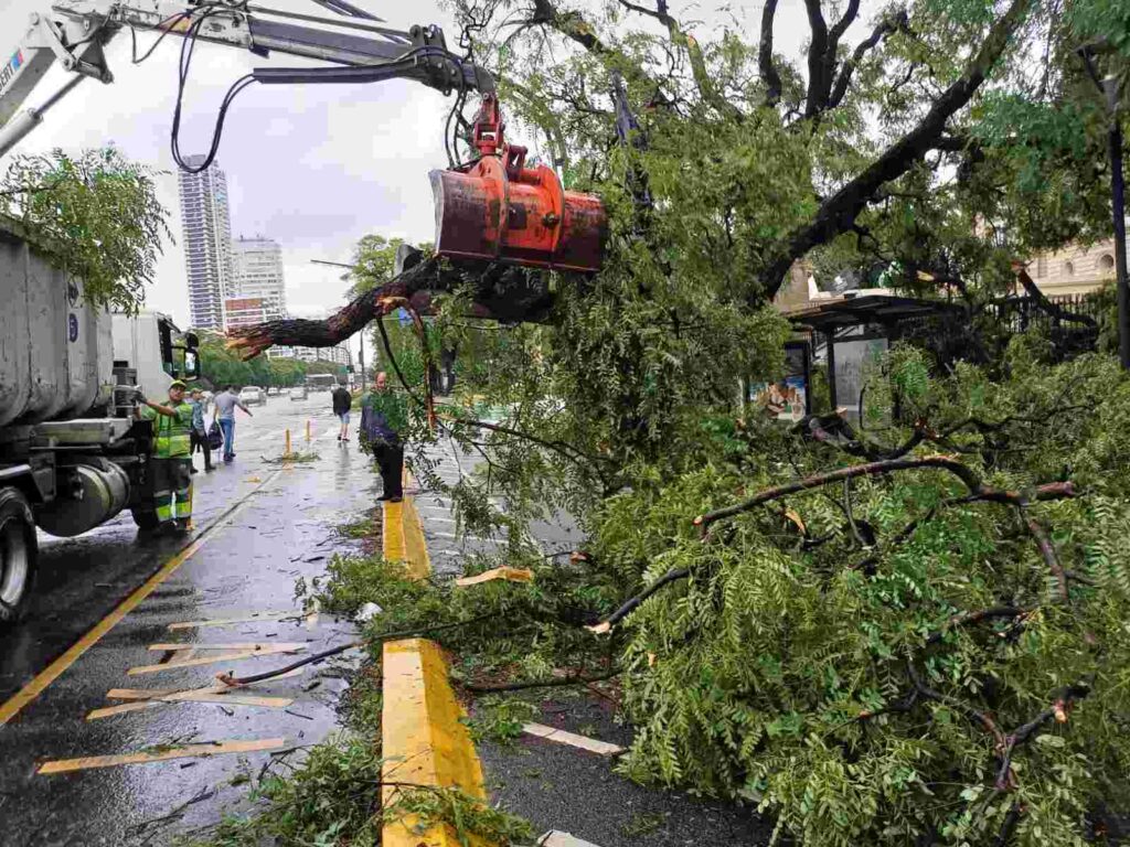 Tormenta en CABA: hubo vientos de 100 km/h, 360 árboles caídos, calles bloqueadas y voladuras