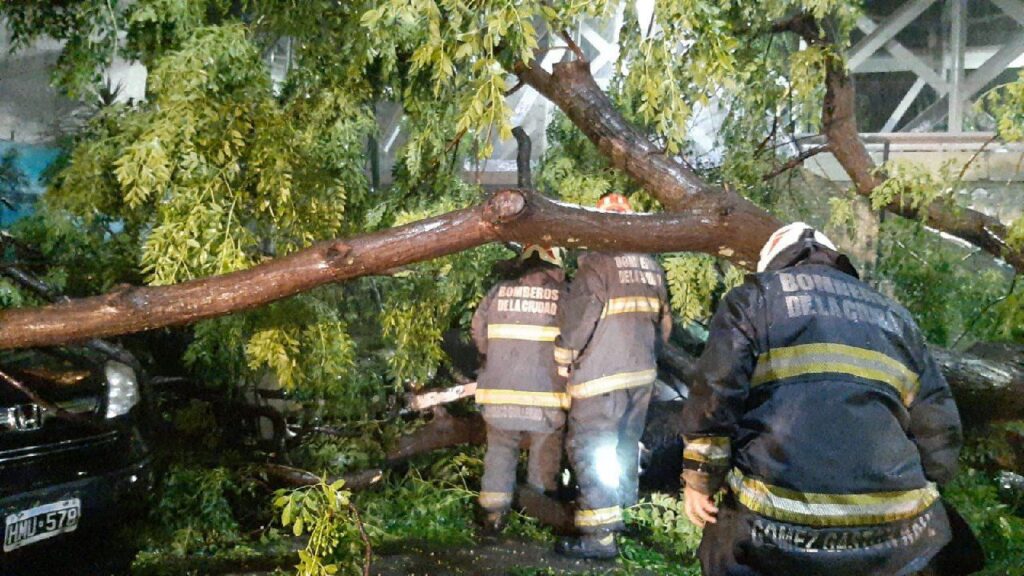Tormenta en CABA: Jorge Macri confirmó que hubo cortes de luz, calles bloqueadas y 360 árboles caídos, además se reportaron al menos 16 heridos