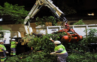 Después del temporal el Centro de Reciclaje recibió 142 mil kilos de troncos y ramas
