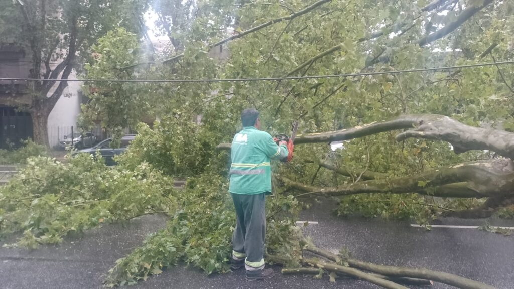 Tormenta en CABA: siguen los operativos en las calles de la Ciudad