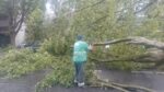 Tormenta en CABA: siguen los operativos en las calles de la Ciudad