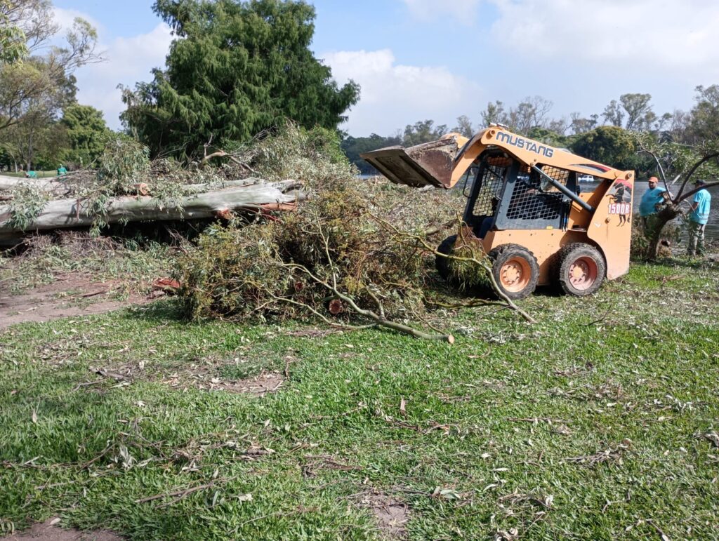 Temporal: ya no quedan cortes totales de calle por árboles caídos en la CABA