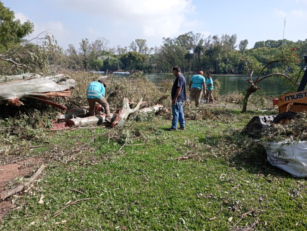 Temporal: ya no quedan cortes totales de calle por árboles caídos en la Ciudad