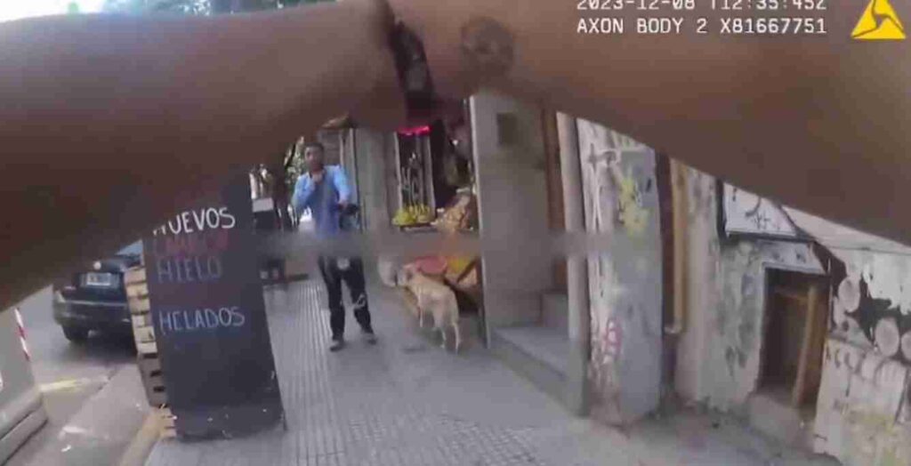 Abasto: redujeron a un ladrón con una Taser y el ministro Wolff celebró