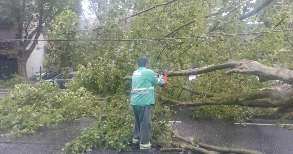 800 operarios en las calles para atender los reclamos tras el temporal en la Ciudad