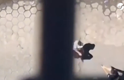 Se difundió el video casero como balean a una persona en Lugano