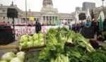 UTEP vendió verdura, carne vacuna y pescado a precios populares frente al Congreso