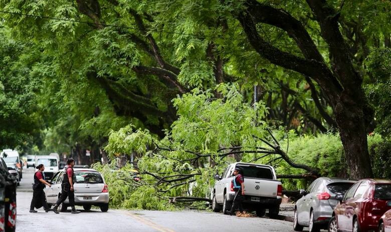 Belgrano: tras las lluvias de esta madrugada, se cayó una rama y dañó varios autos