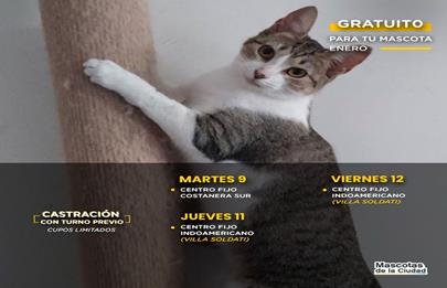 Semana de castraciones gratuitas