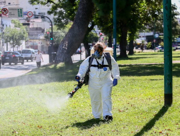 Invasión de mosquitos: La Ciudad reforzó los operativos de desinsectación en parques y plazas