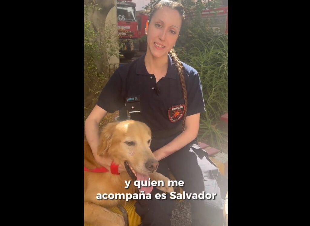 Palermo: una bombero de la Ciudad adoptó a Salvador, el perro abandonado en un departamento que sobrevivió por la comida y agua que le daban los vecinos