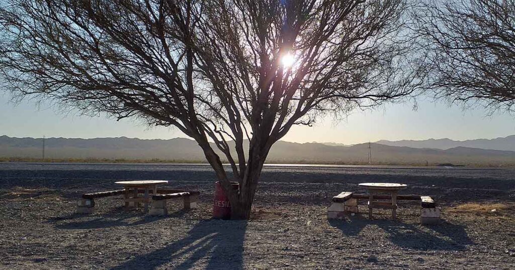 Ahí viene el año 2024: flamean los Ojalás reflexivos, y ya nos ilumina el hondo vino oscuro