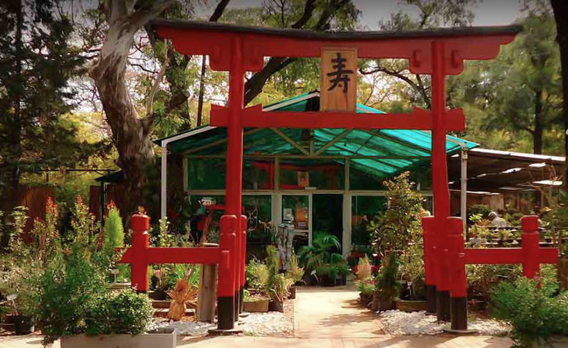 El jardín Japonés de Buenos Aires el más grande fuera de tierras niponas