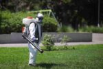 Ola de mosquitos en CABA: el GCBA continúa con los operativos de desinsectación contra mosquitos silvestres en los parques y espacios verdes