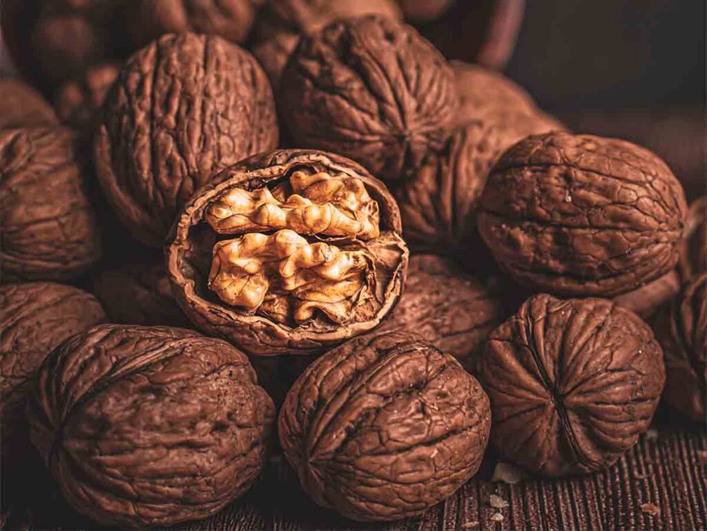 Nutrir y relajar el cerebro