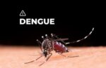 Crecen los casos de dengue en la Comuna 8