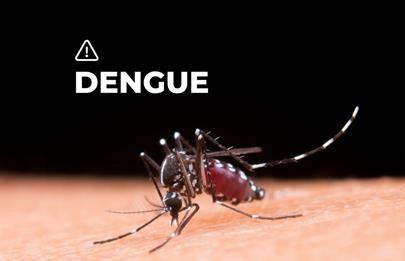 Crecen los casos de dengue en la Comuna 8