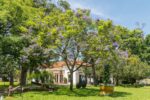 Agenda de fin de semana: nueva edición de Gran Barata, música en el Museo Saavedra y bicicleteada en el Parque Saavedra