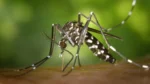 La Ciudad habilitó unidades de atención febriles para dengue en 18 hospitales públicos