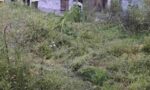 Vecinos convocan a un abrazo al Jardín de los Zorzales del Parque de la Estación