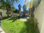 Operativo antidengue en una casona abandonada en Belgrano R