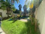 Operativo antidengue en una casona abandonada en Belgrano R