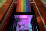 Muestra del artista visual Horno en Jungla Hábitat Cultural