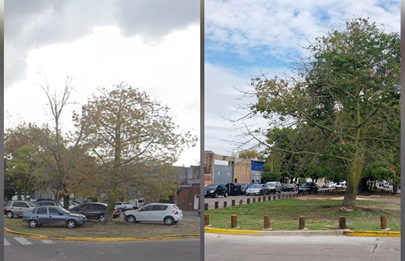 Colocación de “Bolardos” en Boulevard