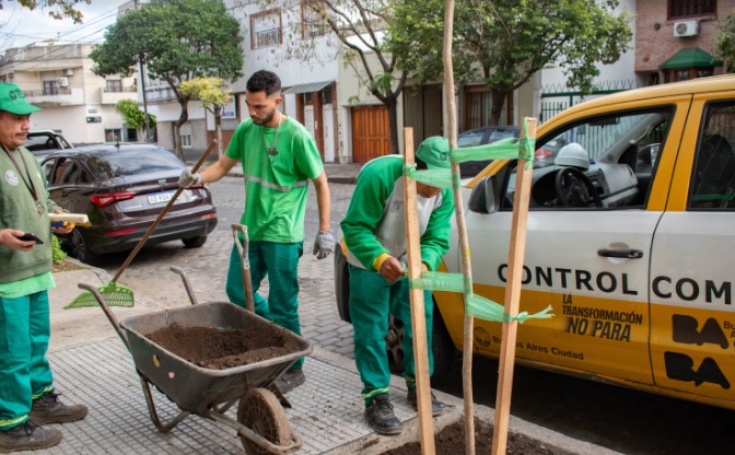 Cultura Abasto y asambleas vecinales debatirán sobre el estado del arbolado en la Legislatura porteña