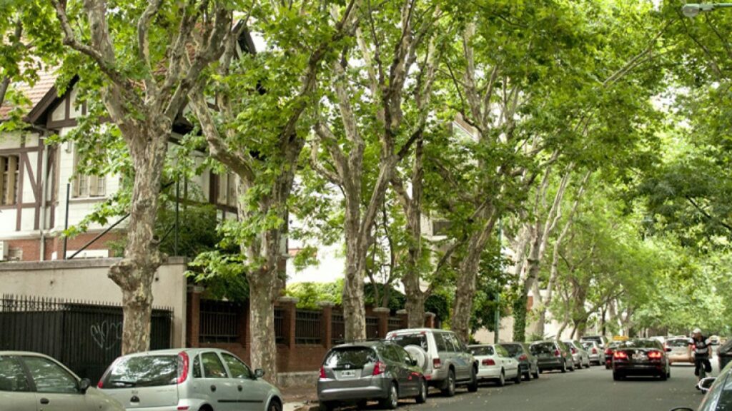 CONVOCATORIA PÚBLICA Situación del arbolado urbano en la Ciudad Autónoma de Buenos Aires