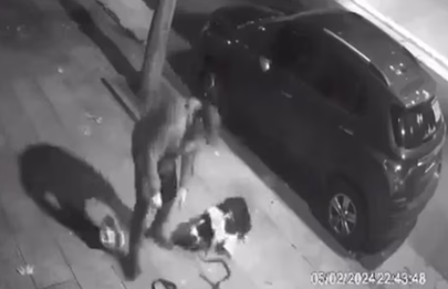 Detuvieron a un maltratador de perro en Flores