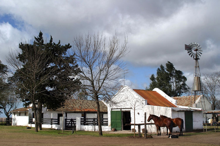 El auge del Turismo Rural: viajes cercanos y más económicos