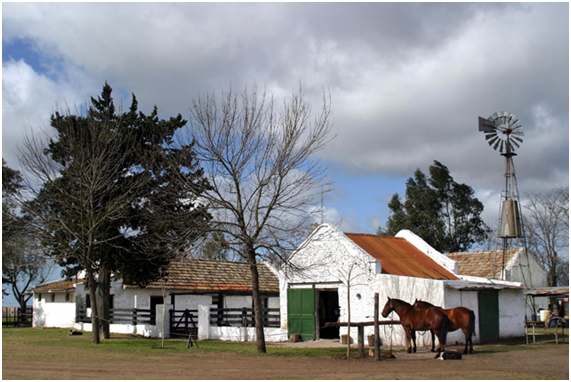 El apogeo del Turismo Rural: viajes cercanos y más económicos.